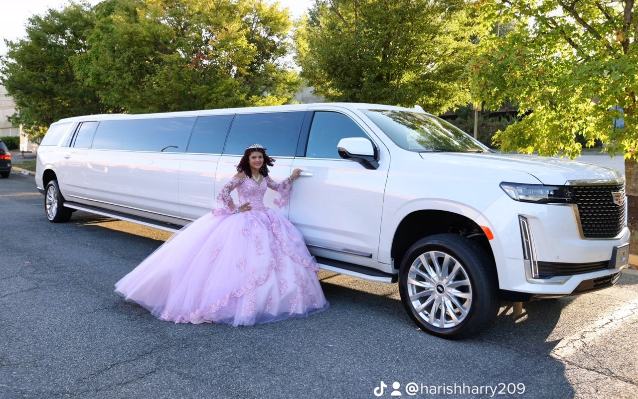 beautiful girl and a white limousine 1